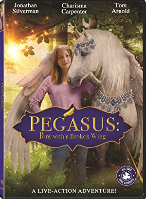 Pegasus: Pony with a Broken Wing