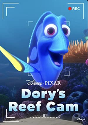 Dory’s Reef Cam