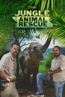 Jungle Animal Rescue