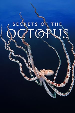 Secrets of the Octopus