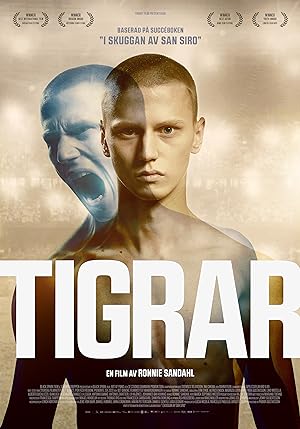 Tigers // Tigrar