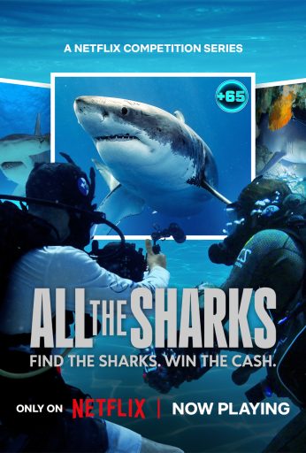 All the Sharks