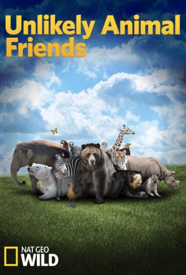Unlikely Animal Friends