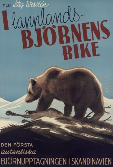 I lapplandsbjörnens rike